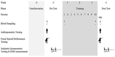 Blood Flow Restriction During <mark class="highlighted">Futsal</mark> Training Increases Muscle Activation and Strength
